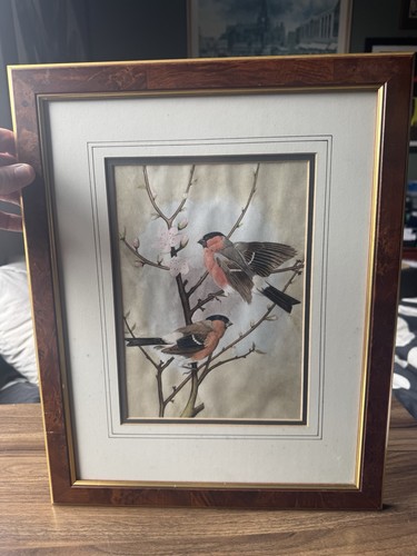 Framed print two - framed, bull