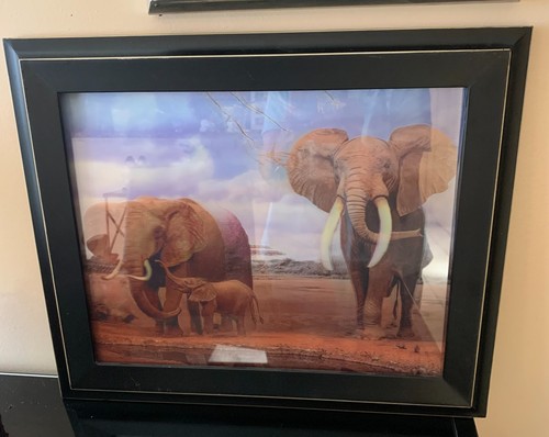 Framed elephants wall - 3d,
